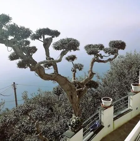 Casa Cosimo *